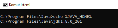 JavaHome.PNG
